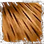 Thumbnail for version as of 05:41, 28 November 2025